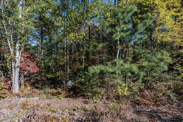 Sevierville, TN 37876,0 Low Sunset Drive