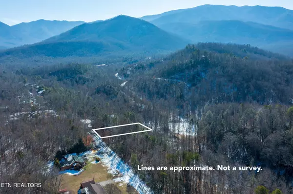 0 Ardell Way, Cosby, TN 37722