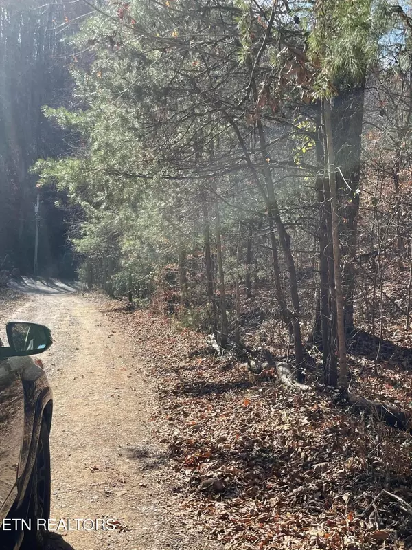 Dandridge, TN 37725,0 Hurley Way