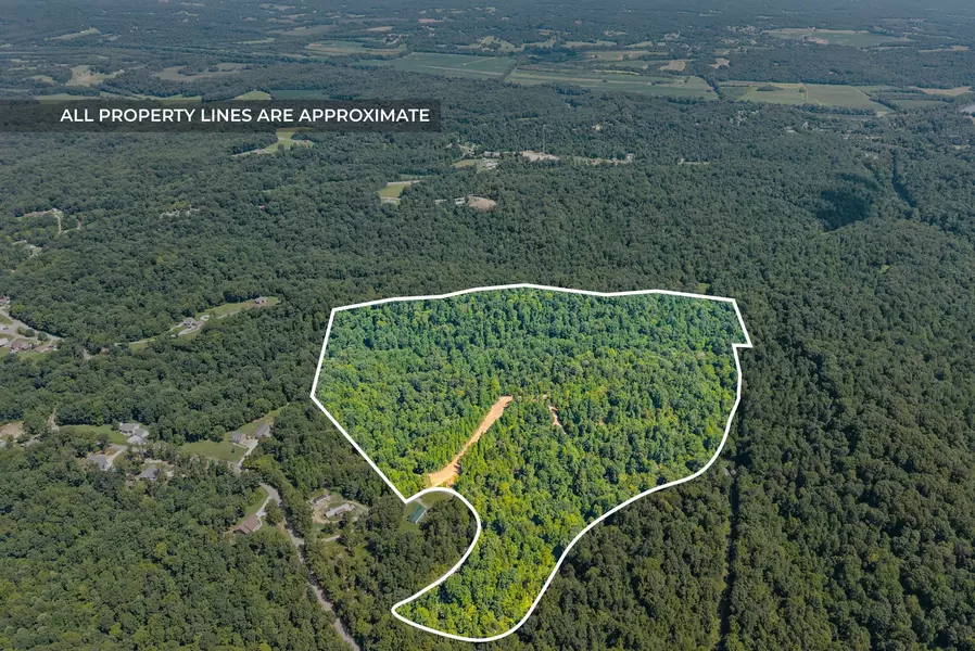 1 Lyle Hollow Rd, Palmyra, TN 37142