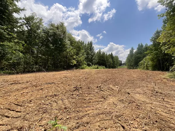 1 Lyle Hollow Rd, Palmyra, TN 37142
