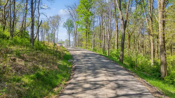Nashville, TN 37221,8377 Collins Rd