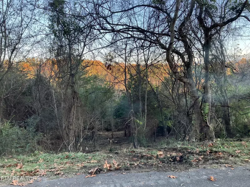 0 Lot 19 English Fields Drive, Newport, TN 37821