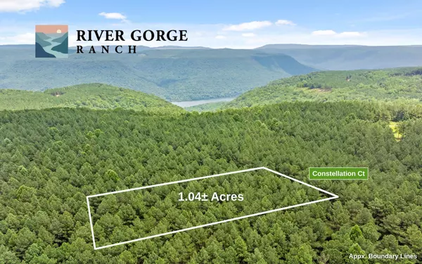 2045 Constellation Court, Guild, TN 37340