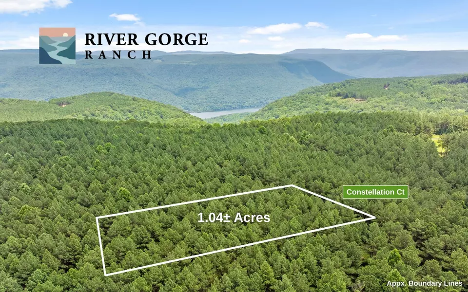 2045 Constellation Court, Guild, TN 37340