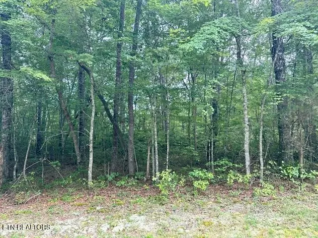 0 Cumberland Lakes Drive, Monterey, TN 38574