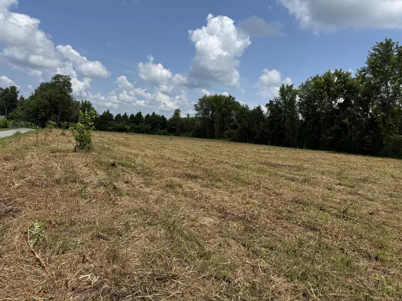 0 Shaw St, Smithville, TN 37166