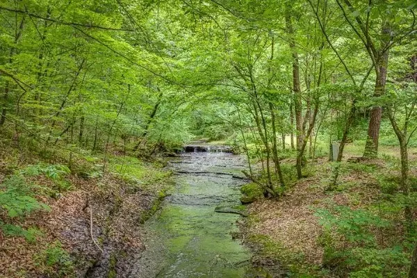 Fairview, TN 37062,7941 Fernvale Rd