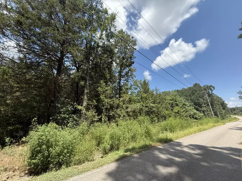 0 Birdsong Road, Holladay, TN 38341