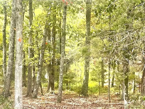 Waverly, TN 37185,0 Halls Creek Road