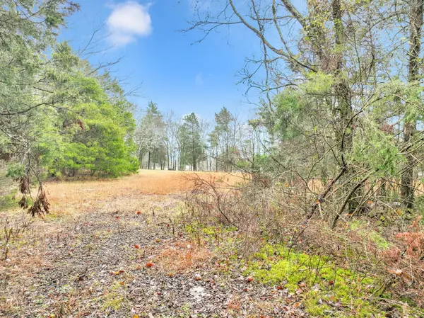 Lebanon, TN 37087,0 Phillips Rd