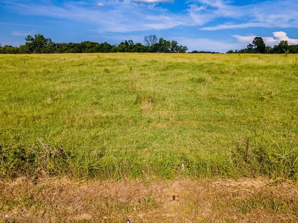 2 Hickerson Rd, Wartrace, TN 37183