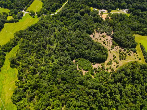 Palmyra, TN 37142,4200 Shiloh Canaan Rd