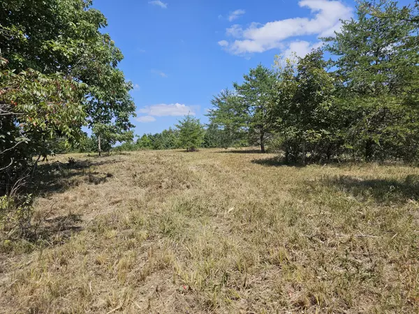 Clifton, TN 38425,0 Ross Creek Ridge
