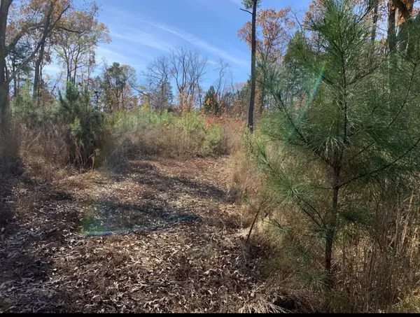 Medon, TN 38356,0 Kelly Ln
