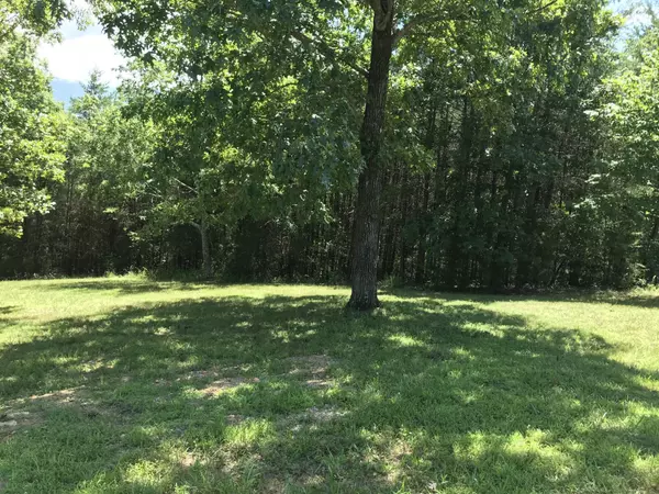 Dunlap, TN 37327,0 Skyhigh Drive