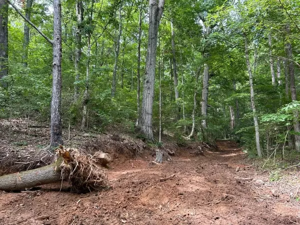 Woodlawn, TN 37191,3585 Lewis Atkins Rd