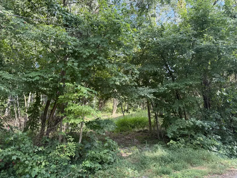 0 Elmwood Dr, Clarksville, TN 37040