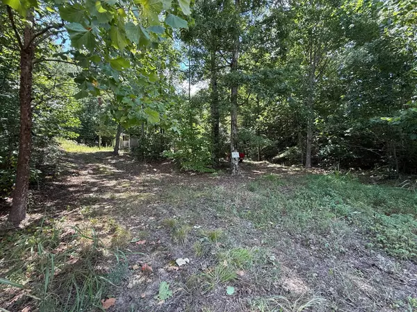 Hohenwald, TN 38462,1014 Columbia Hwy