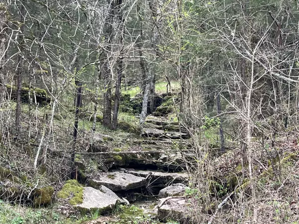 Liberty, TN 37095,0 Turkey Branch Rd