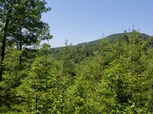 Sevierville, TN 37862,0 Fern Point Dr