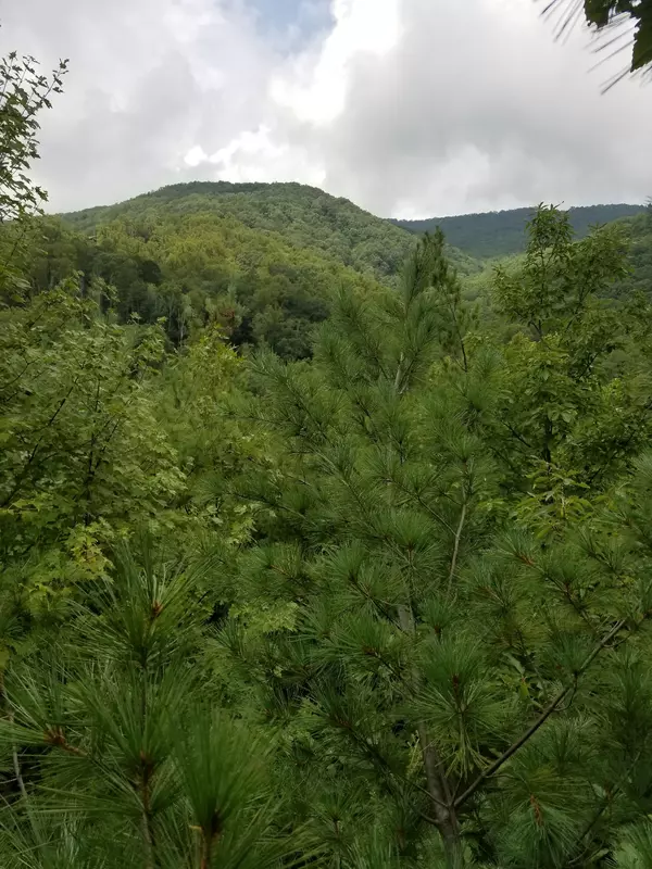 Sevierville, TN 37862,119 Fern Point Dr