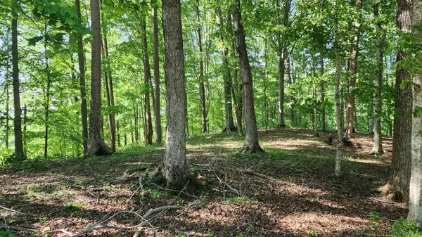 Smithville, TN 37166,1 Potts Camp Rd