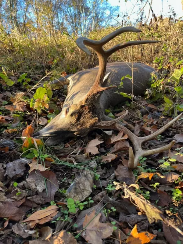 Culleoka, TN 38451,3264 Martin Hollow Rd