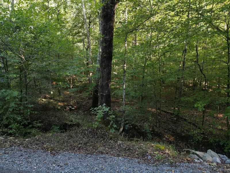 1 Cave Branch Rd, Dickson, TN 37055