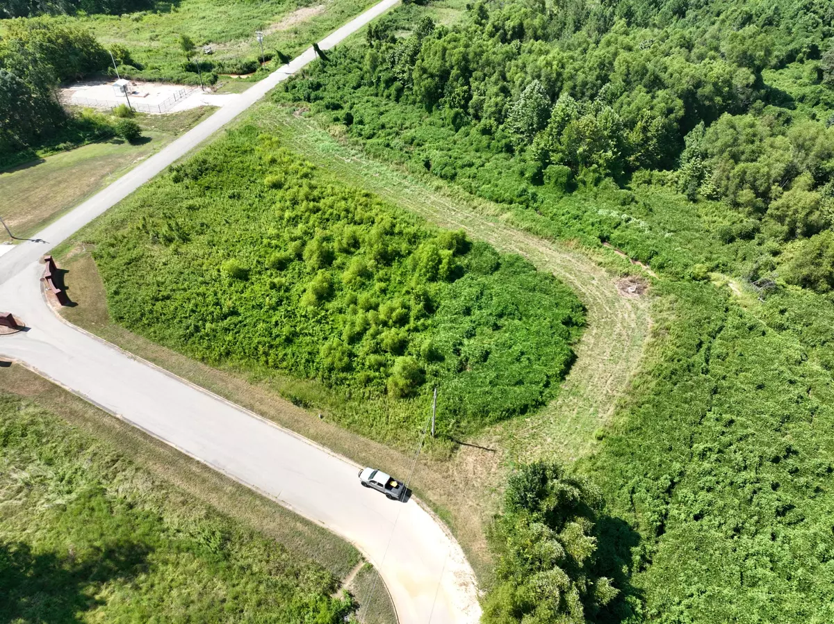 Lexington, TN 38351,1 Fern Creek Dr