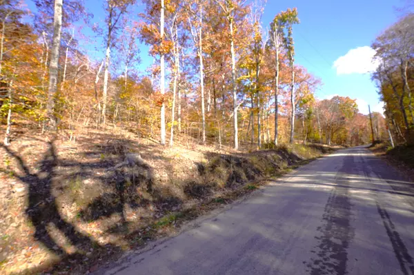 Dover, TN 37058,4 Cox Hollow Rd