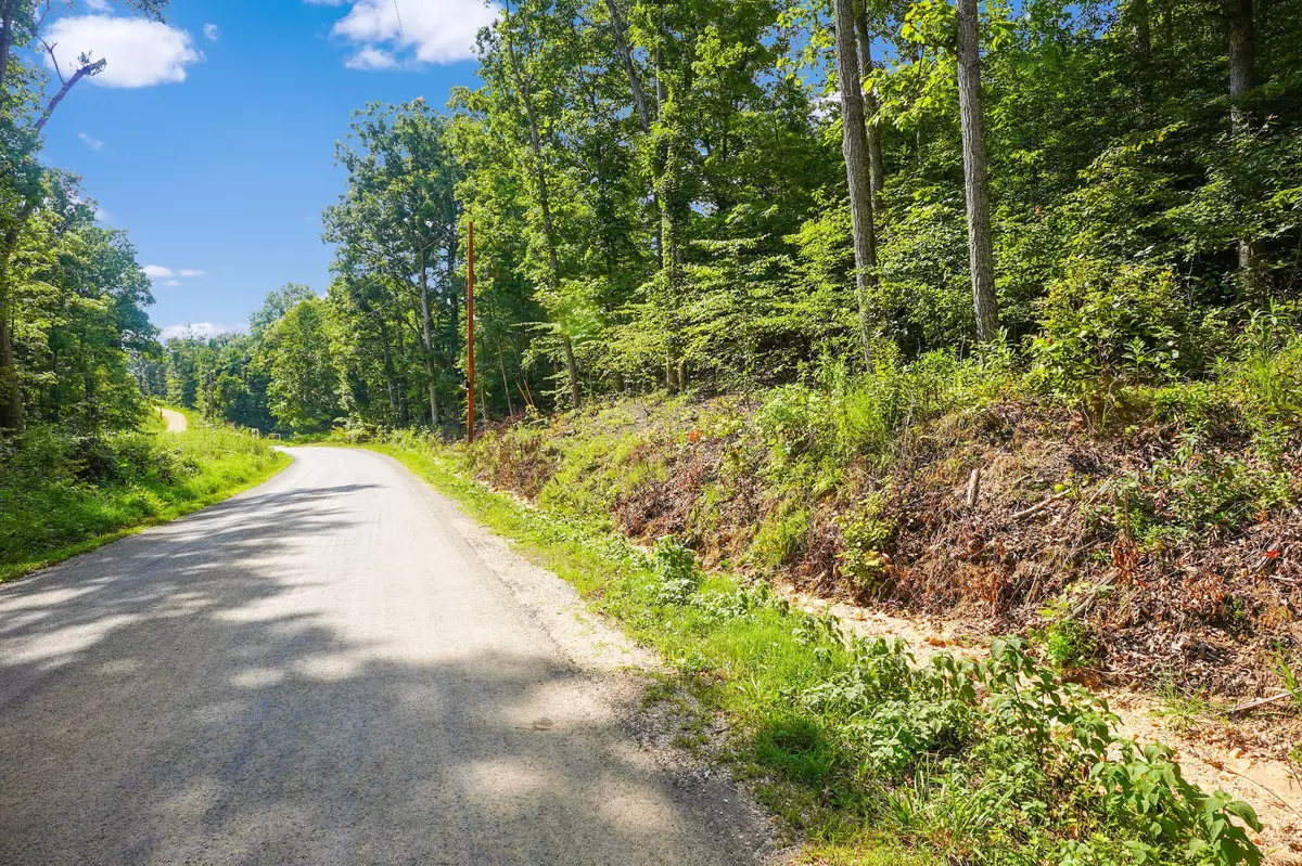 Dover, TN 37058,4 Cox Hollow Rd