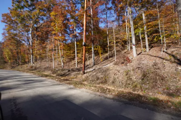 Dover, TN 37058,4 Cox Hollow Rd