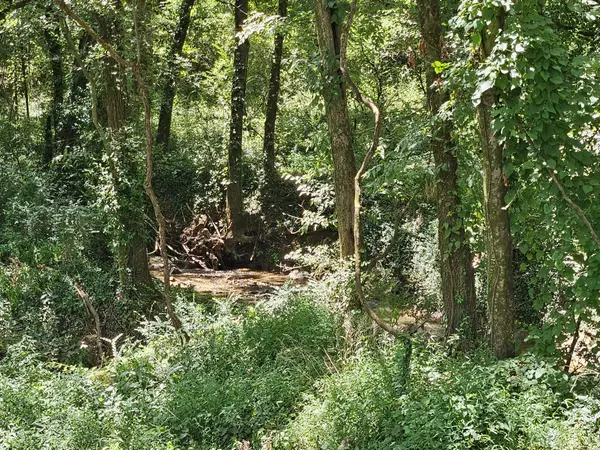 Murfreesboro, TN 37129,0 Sulpher Springs Rd