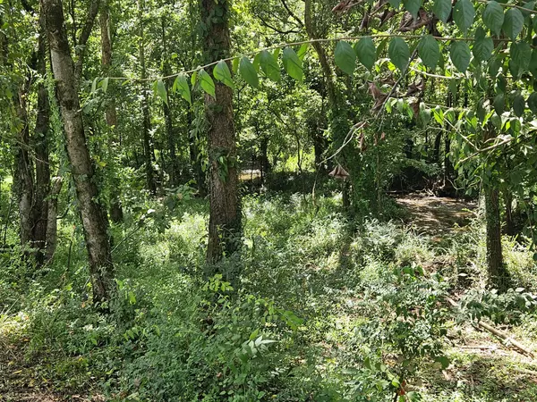 Murfreesboro, TN 37129,0 Sulpher Springs Rd