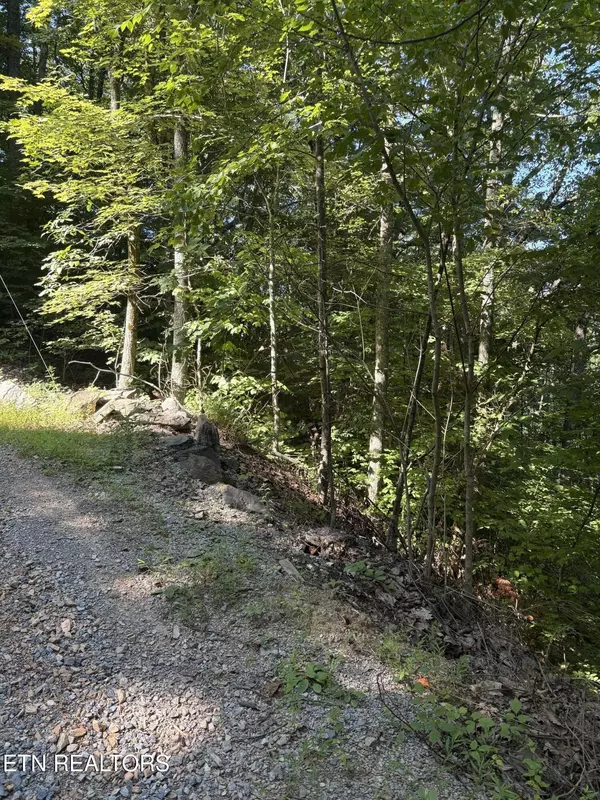 0 Castle Rise Way, Sevierville, TN 37862