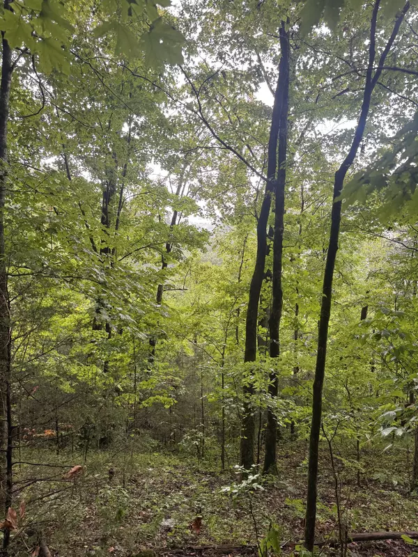 Woodbury, TN 37190,0 Petty Gap Rd