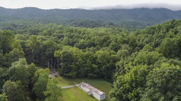 2920 Grapevine Hollow Rd, Dandridge, TN 37725