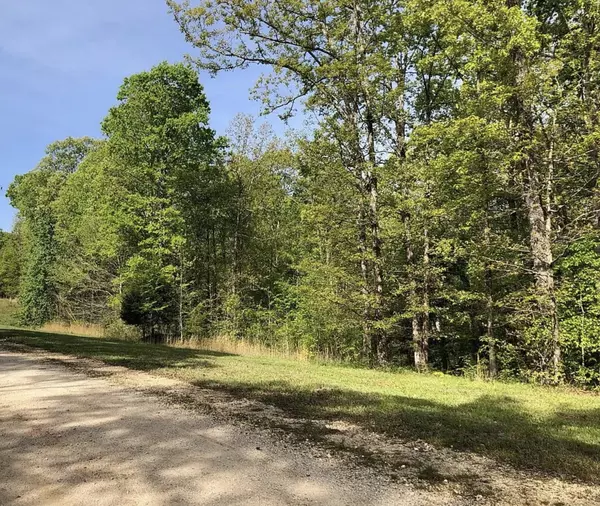 Hurricane Mills, TN 37078,10 Yellow Violet Ct