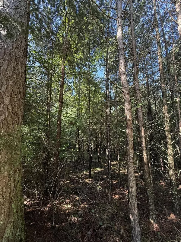 Dunlap, TN 37327,0 Bluff View Drive