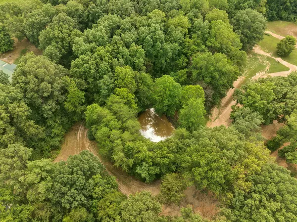 Primm Springs, TN 38476,0 Dog Creek RD