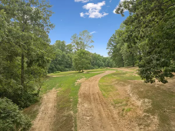 Primm Springs, TN 38476,0 Dog Creek RD