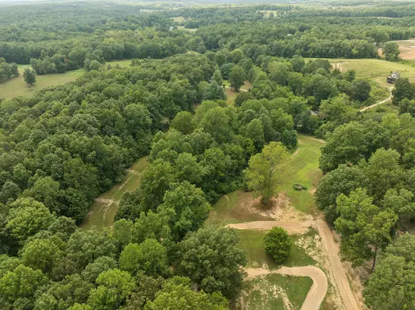 Primm Springs, TN 38476,2 Dog Creek Rd