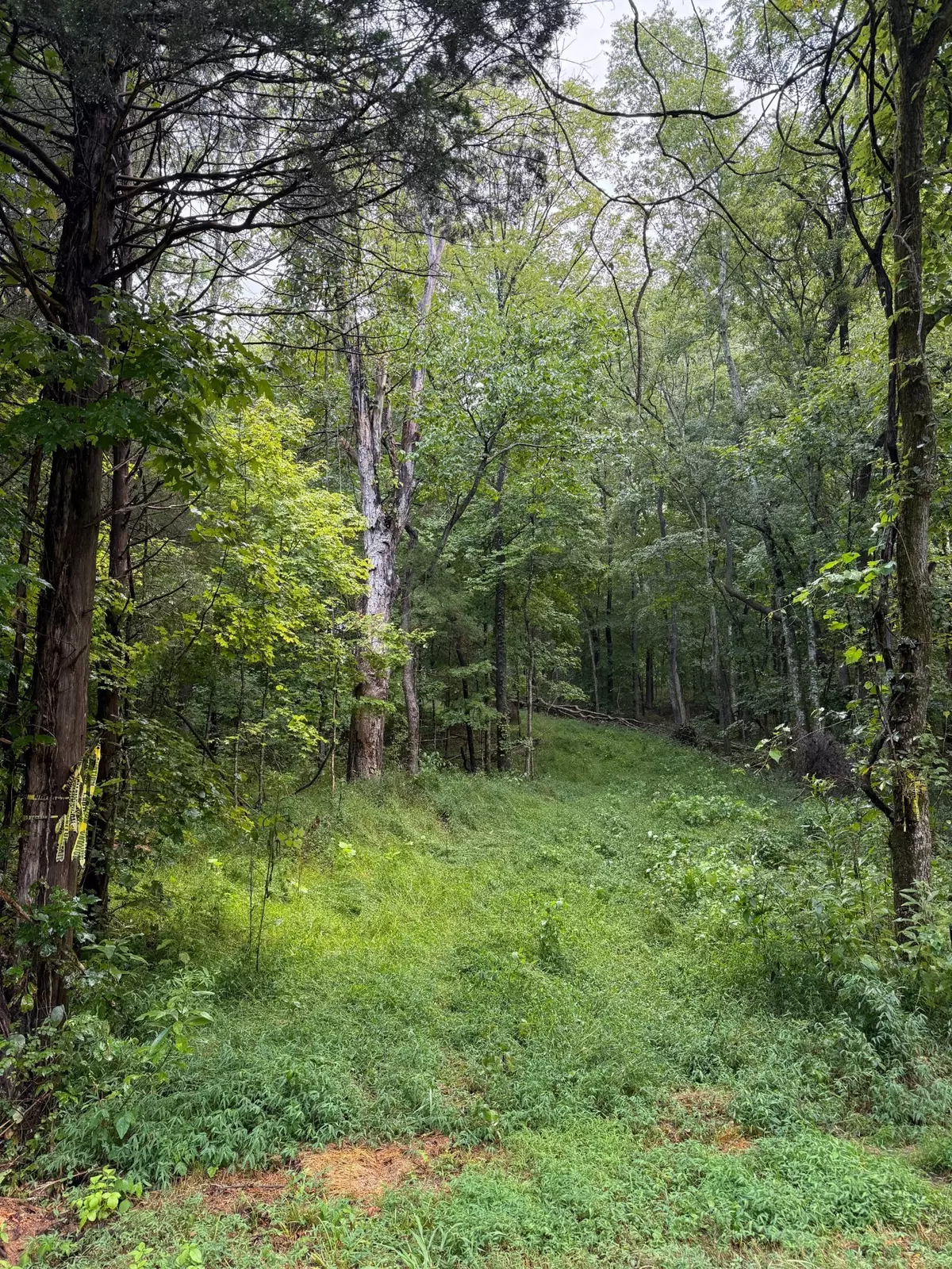 Charlotte, TN 37036,0 Shelter Branch Rd