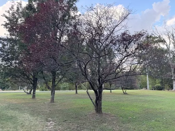 New Johnsonville, TN 37134,1160 Flatwood Rd