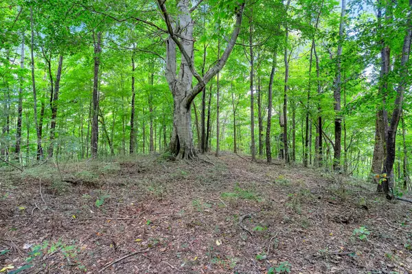 Normandy, TN 37360,0 Red Hill Rd