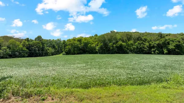 Normandy, TN 37360,0 Red Hill Rd
