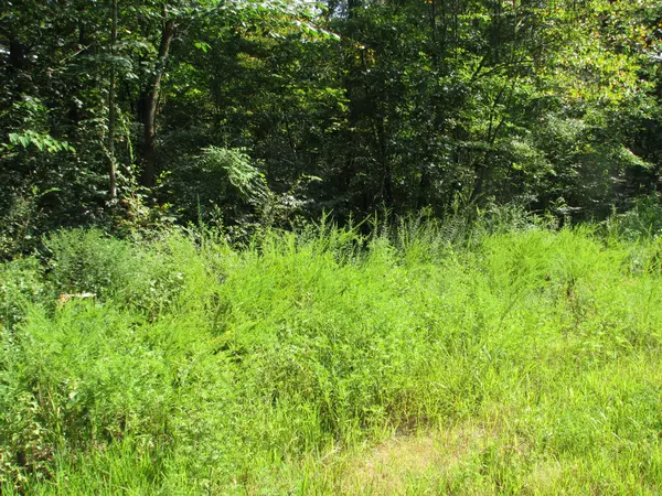 0 Sycamore Landing Rd, Waverly, TN 37185
