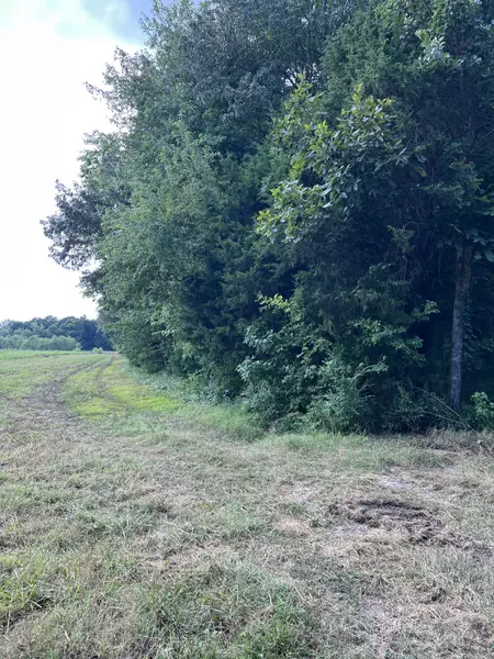 0 Borthick Road, Springfield, TN 37172
