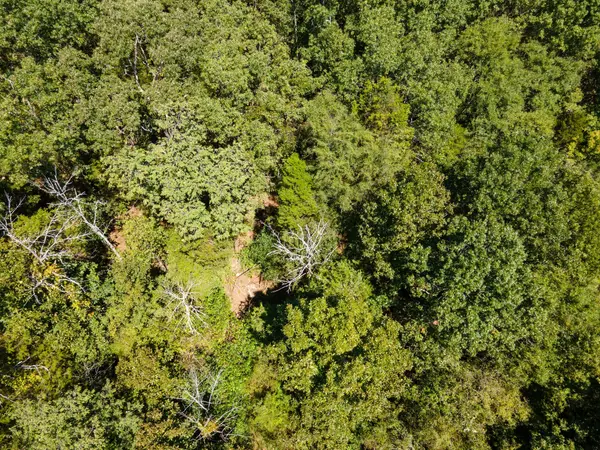 Columbia, TN 38401,0 Shapiro Trail